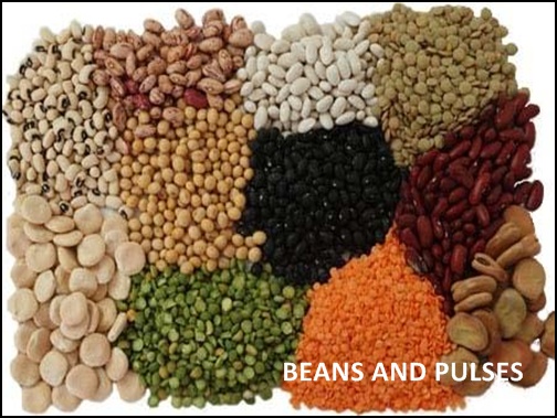 BEANS AND PULSES